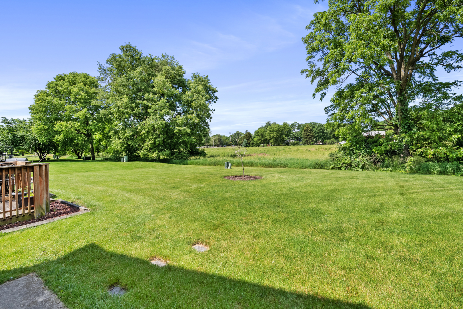 2427 Oak Tree Lane Plainfield, IL 60586 - Photo 7 of 24 a view of a golf course with a park