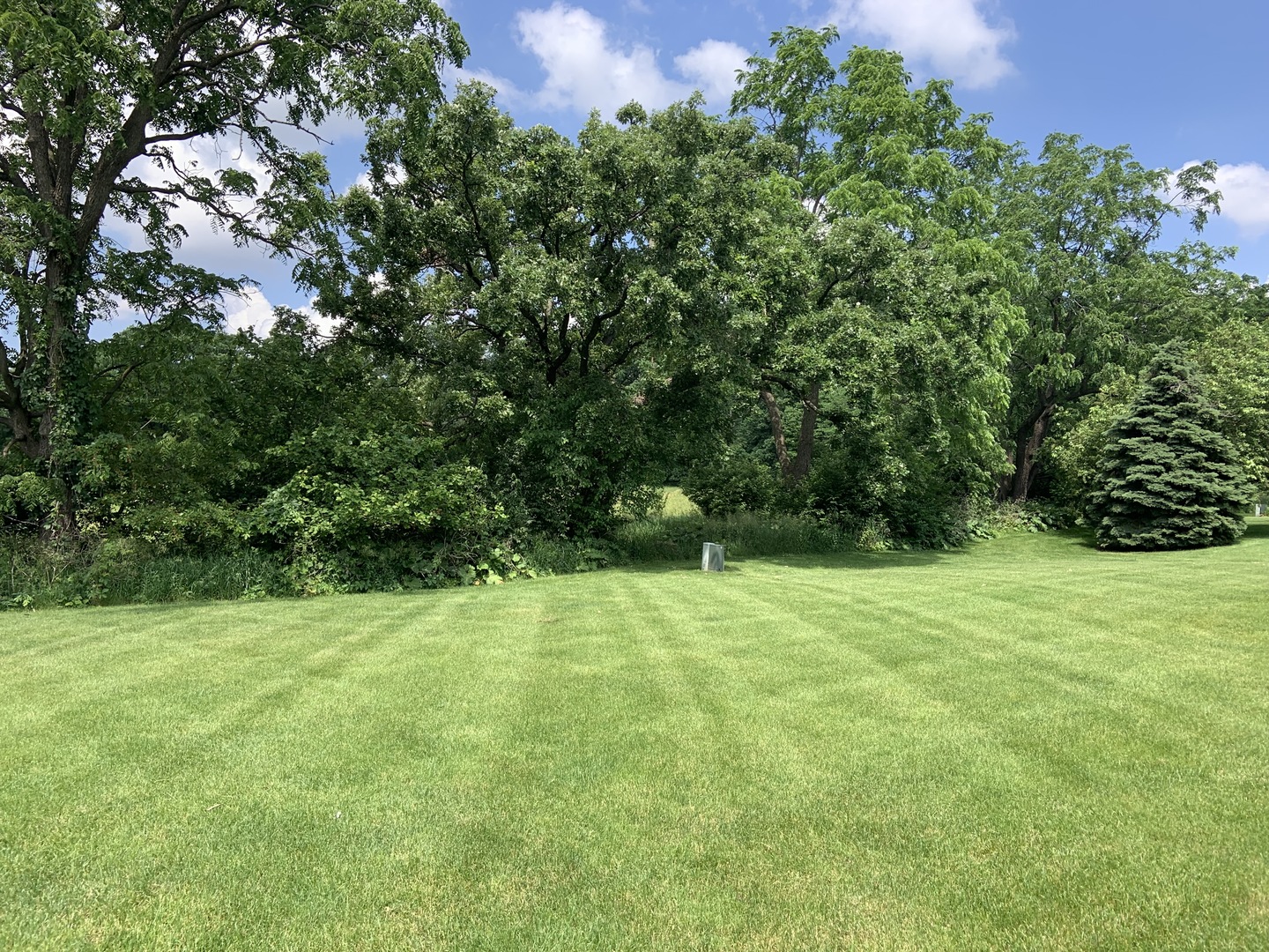 2427 Oak Tree Lane Plainfield, IL 60586 - Photo 8 of 24 a backyard of a house
