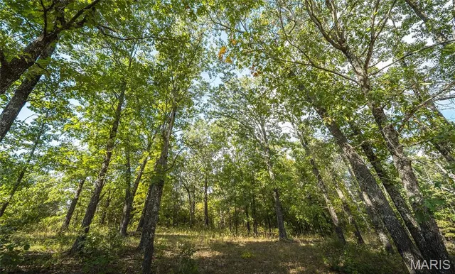 $295,000 | 24950 Majestic Lane, Lebanon, MO 65536