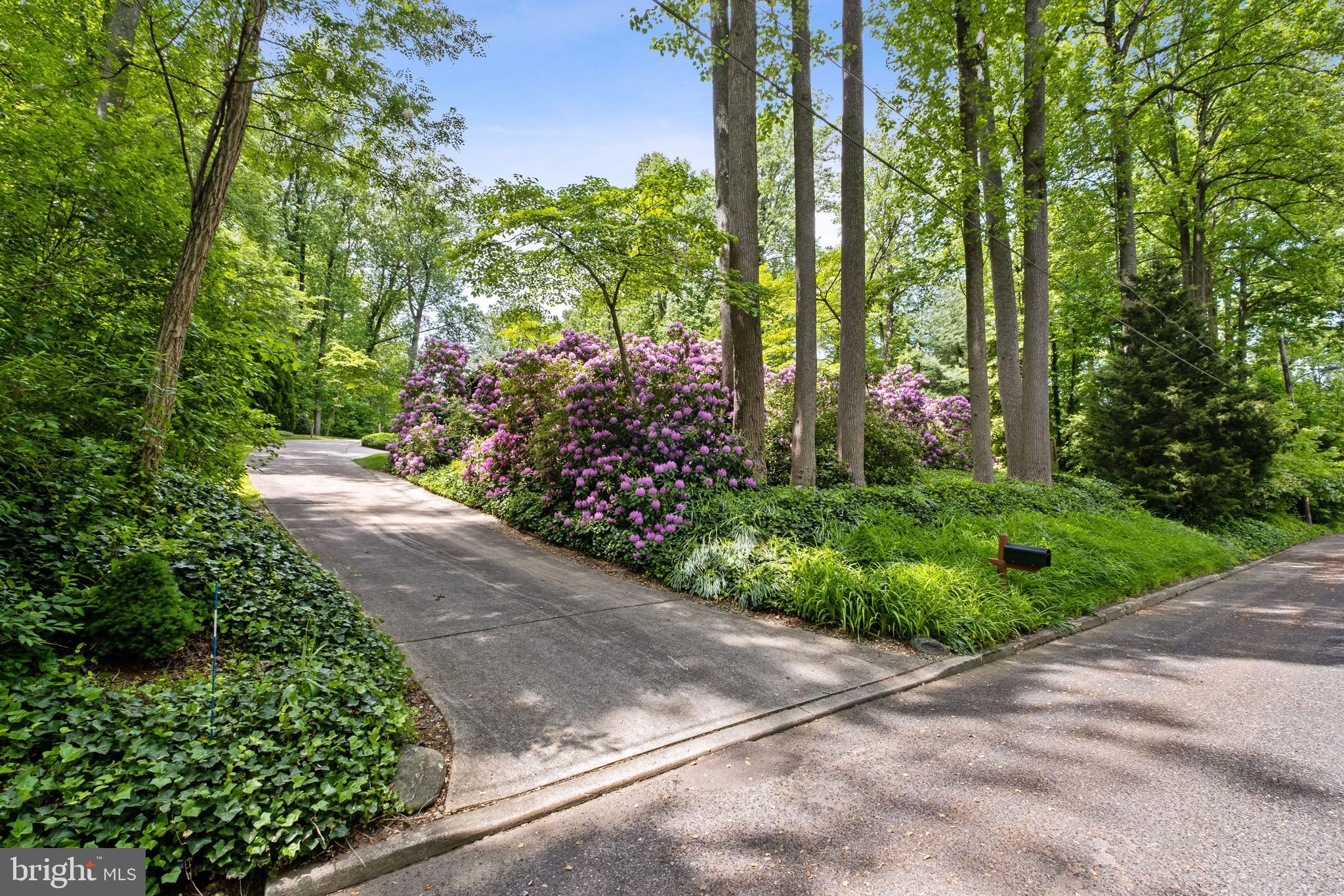 14 Springhill Road Mantua, NJ 08051 - Photo 3 of 64 Driveway entrance