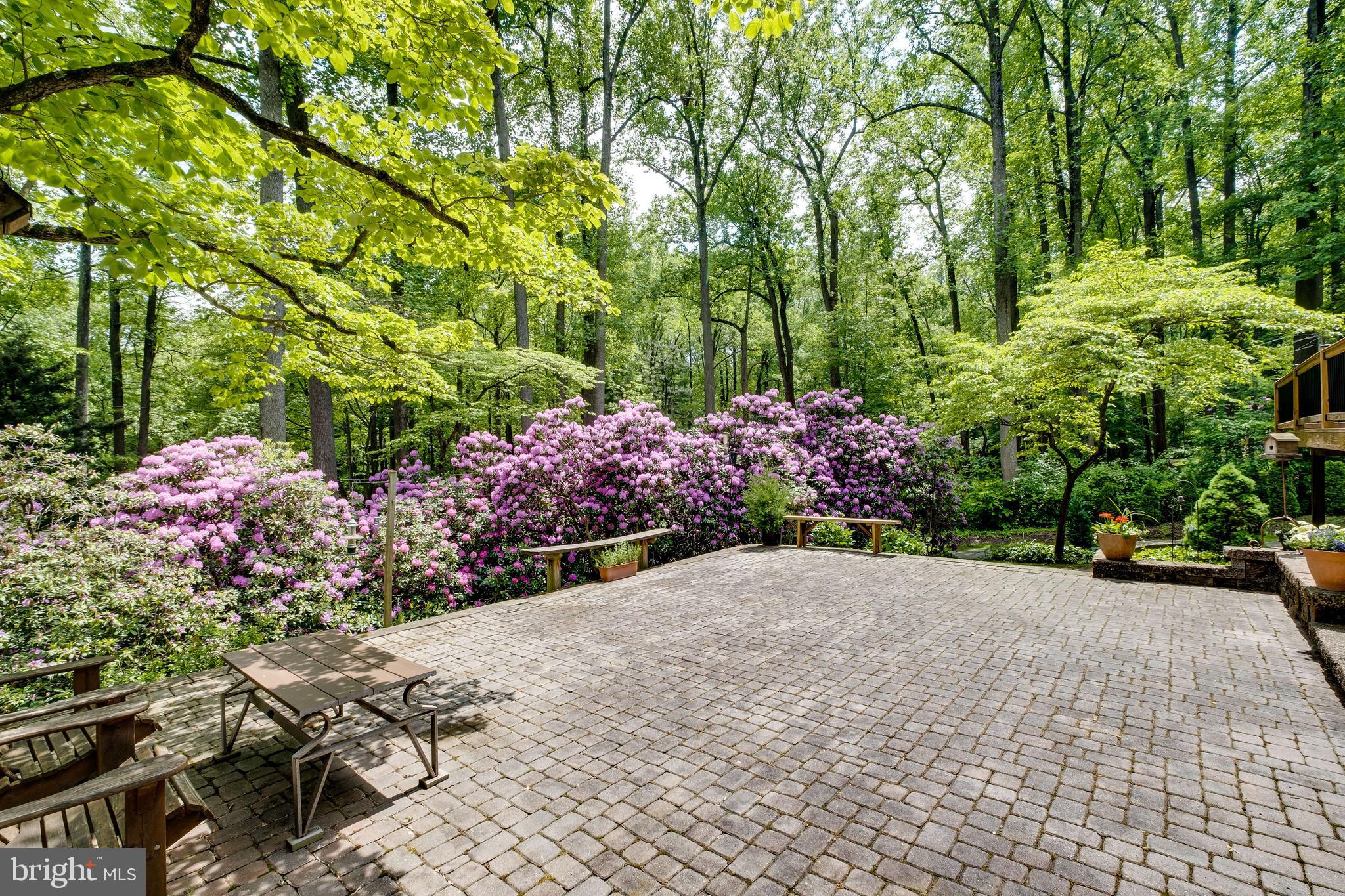 14 Springhill Road Mantua, NJ 08051 - Photo 58 of 64 Rear patio