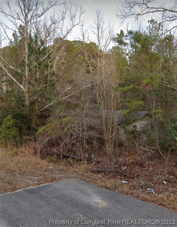 327 Brookside Road West End, NC 27376 - Photo 3 of 5 Gallery Image 3