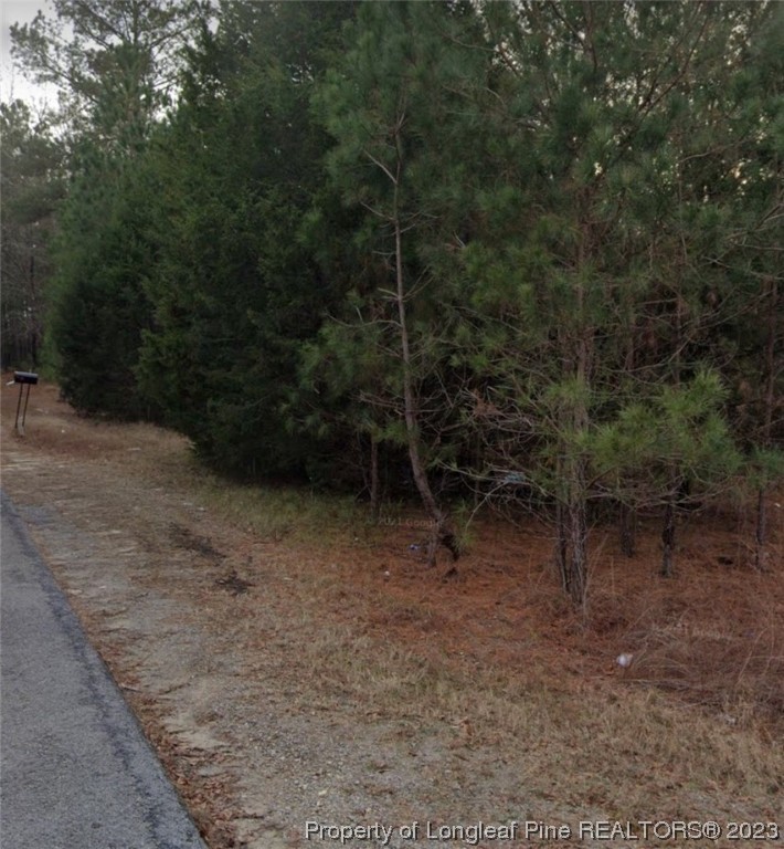 327 Brookside Road West End, NC 27376 - Photo 4 of 5 Gallery Image 4