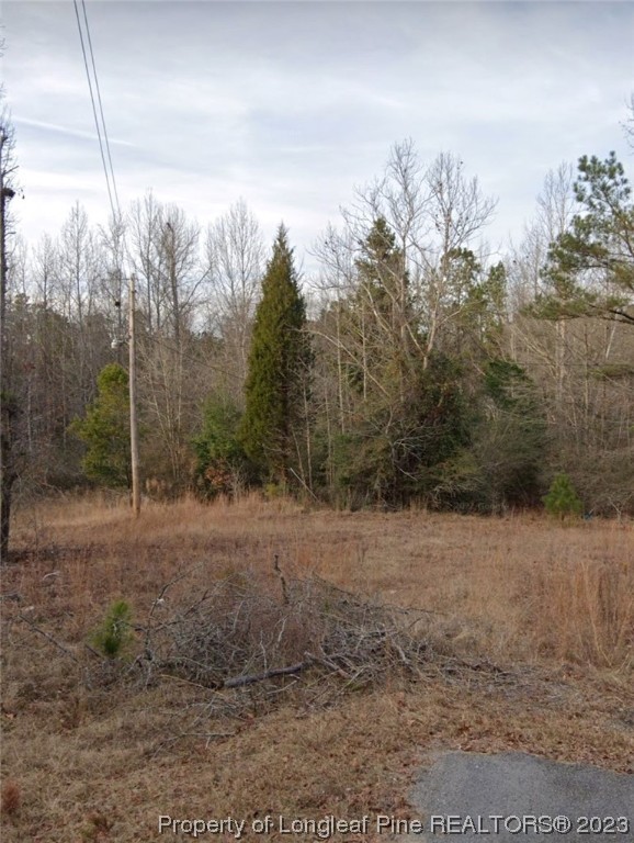 327 Brookside Road West End, NC 27376 - Photo 5 of 5 Gallery Image 5