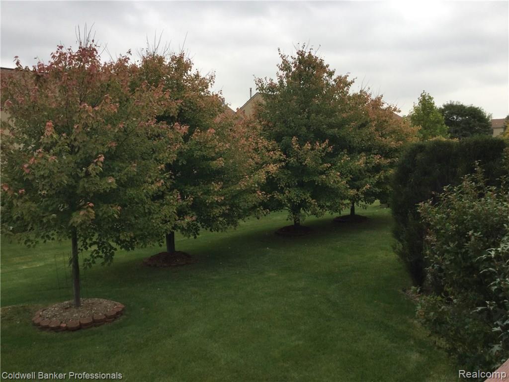 2207 Crystal Drive, Unit 20 Rochester Hills, MI 48309 - Photo 3 of 20