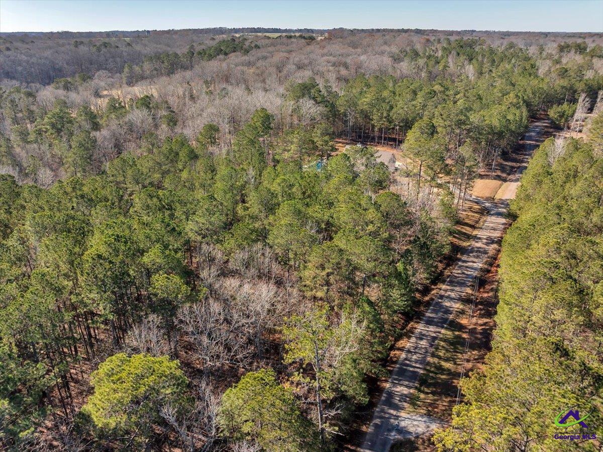 0 Renouf Road Forsyth, GA 31029 - Photo 4 of 18