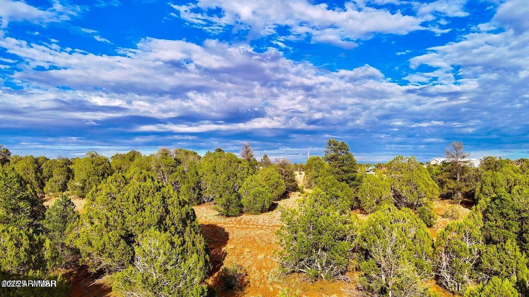 2.54 Acres Aripine Az 85933 Overgaard, AZ 85933 - Photo 15 of 29 a view of a bunch of trees and outside space