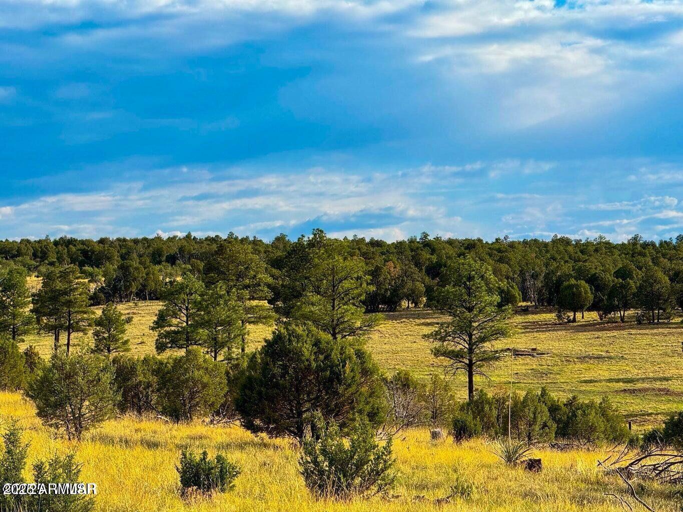 2.54 Acres Aripine Az 85933 Overgaard, AZ 85933 - Photo 2 of 29 a view of an ocean