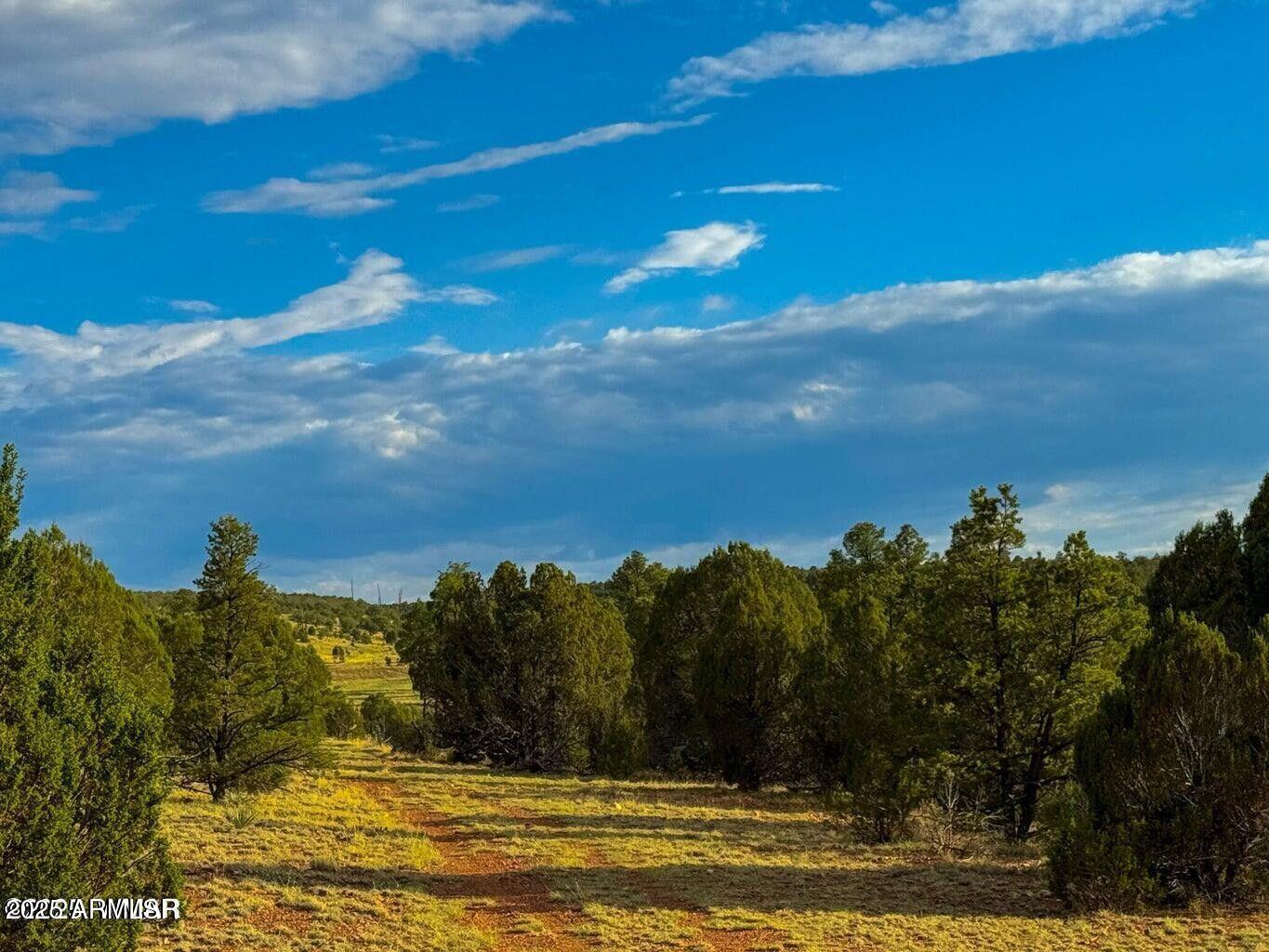 2.54 Acres Aripine Az 85933 Overgaard, AZ 85933 - Photo 25 of 29 a view of a lake view