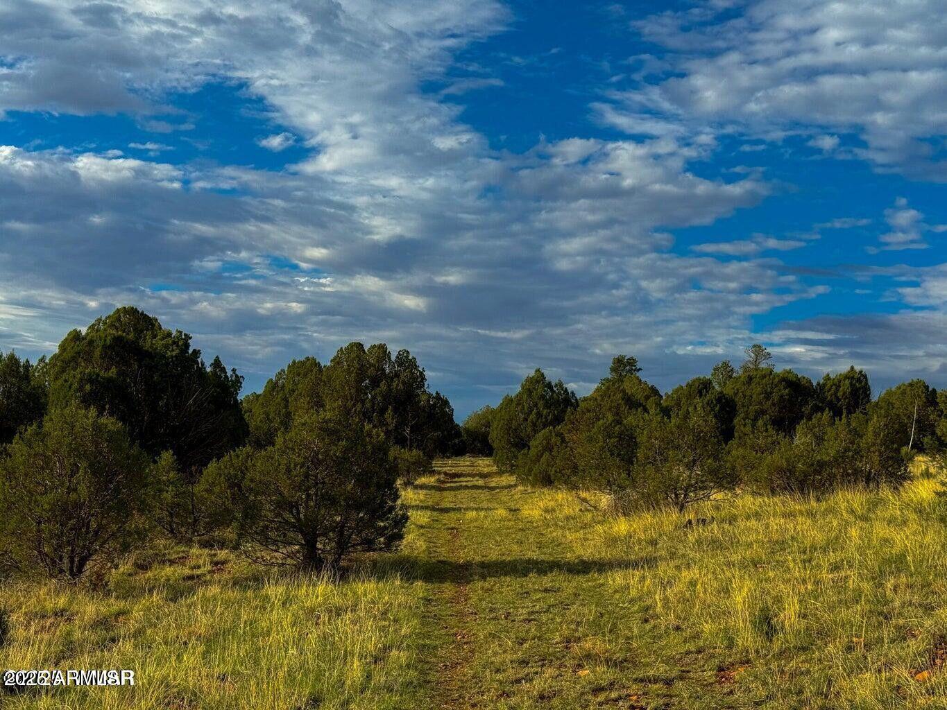 2.54 Acres Aripine Az 85933 Overgaard, AZ 85933 - Photo 26 of 29 a view of a lake