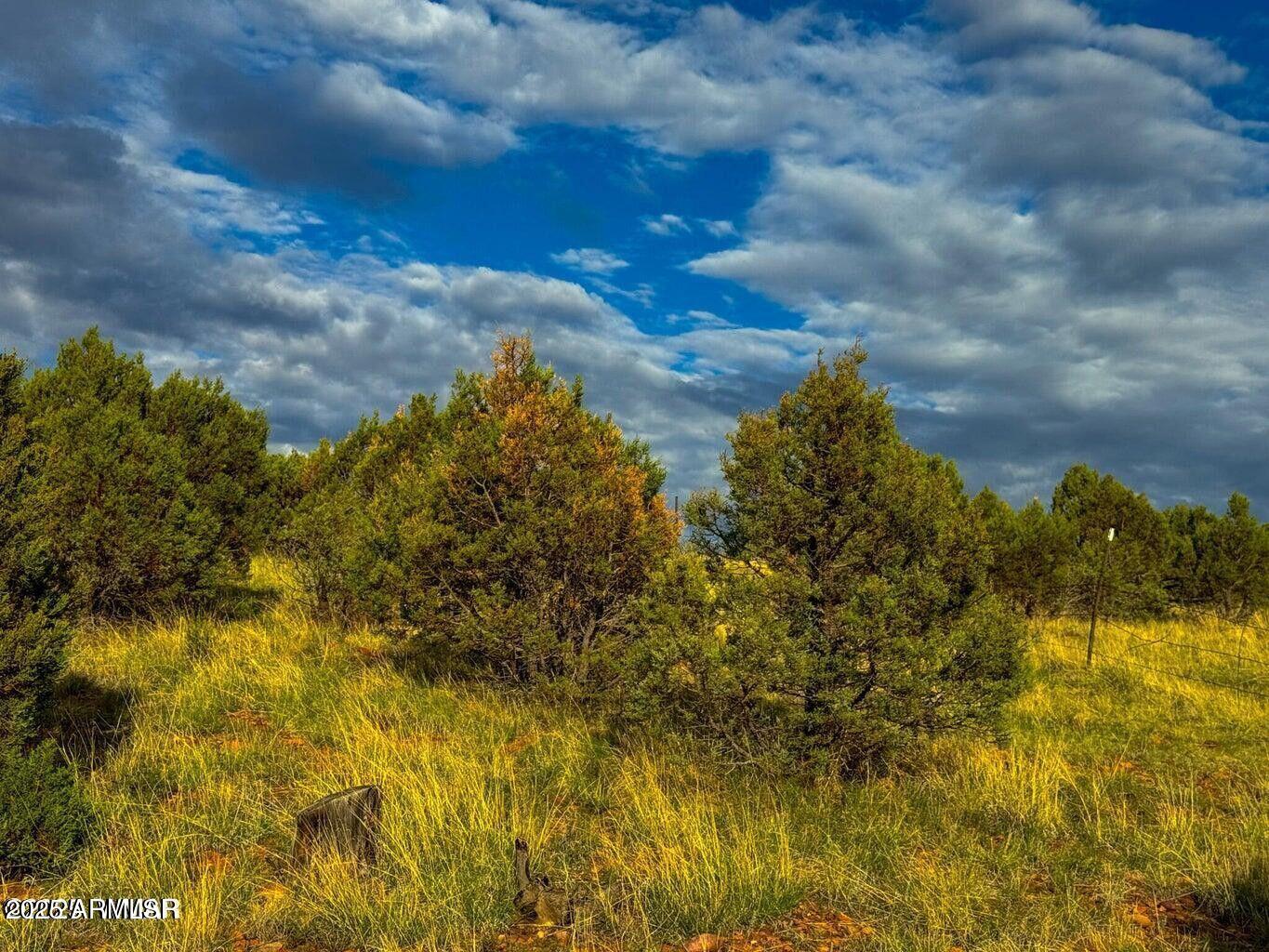 2.54 Acres Aripine Az 85933 Overgaard, AZ 85933 - Photo 27 of 29 a view of sunset