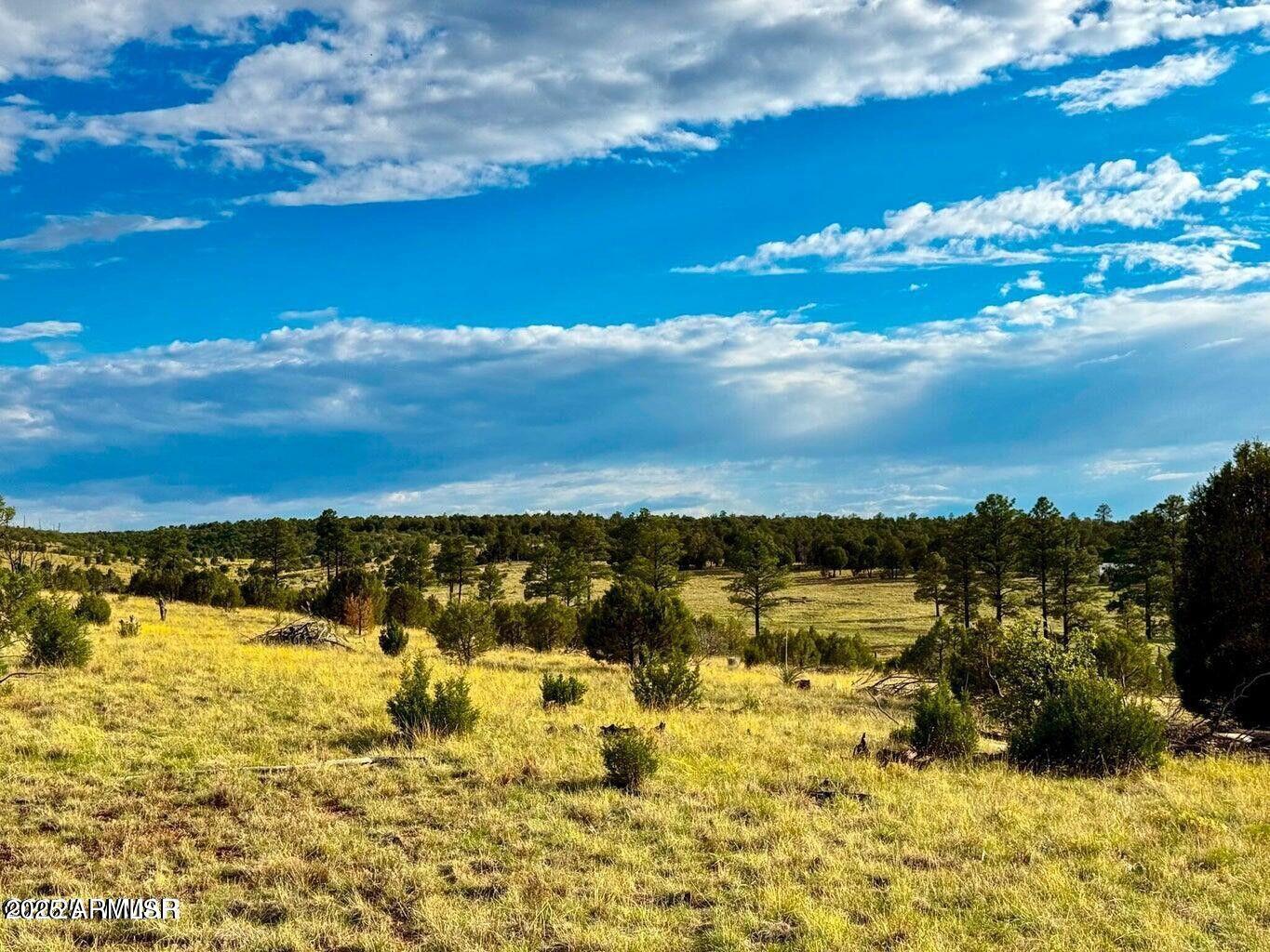 2.54 Acres Aripine Az 85933 Overgaard, AZ 85933 - Photo 28 of 29 a view of a lake and beach