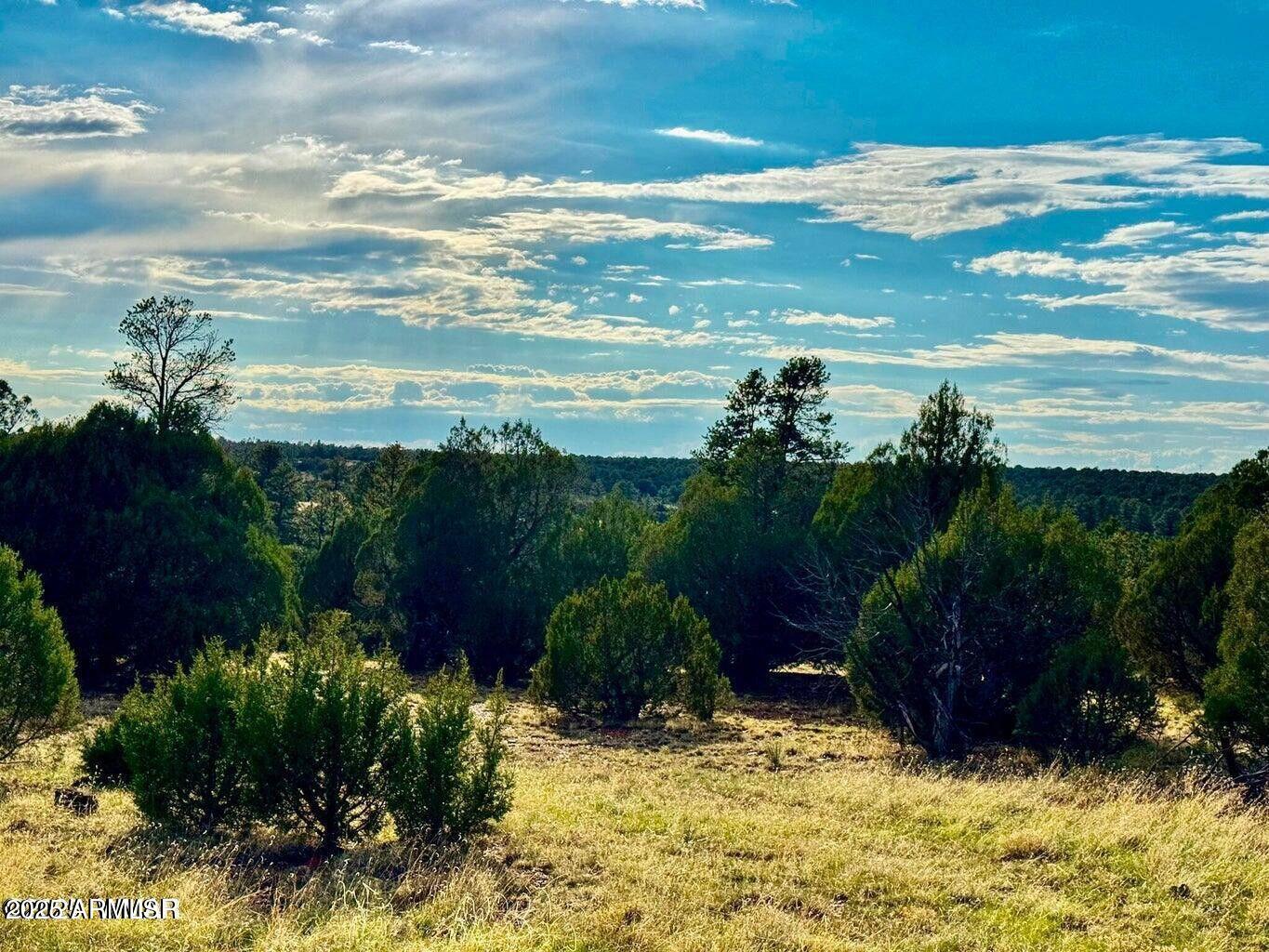 2.54 Acres Aripine Az 85933 Overgaard, AZ 85933 - Photo 3 of 29