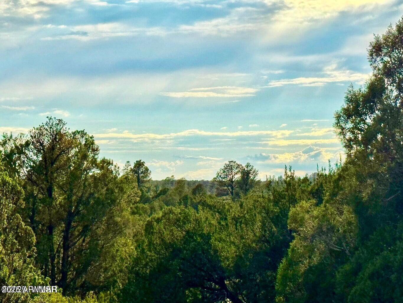 2.54 Acres Aripine Az 85933 Overgaard, AZ 85933 - Photo 6 of 29