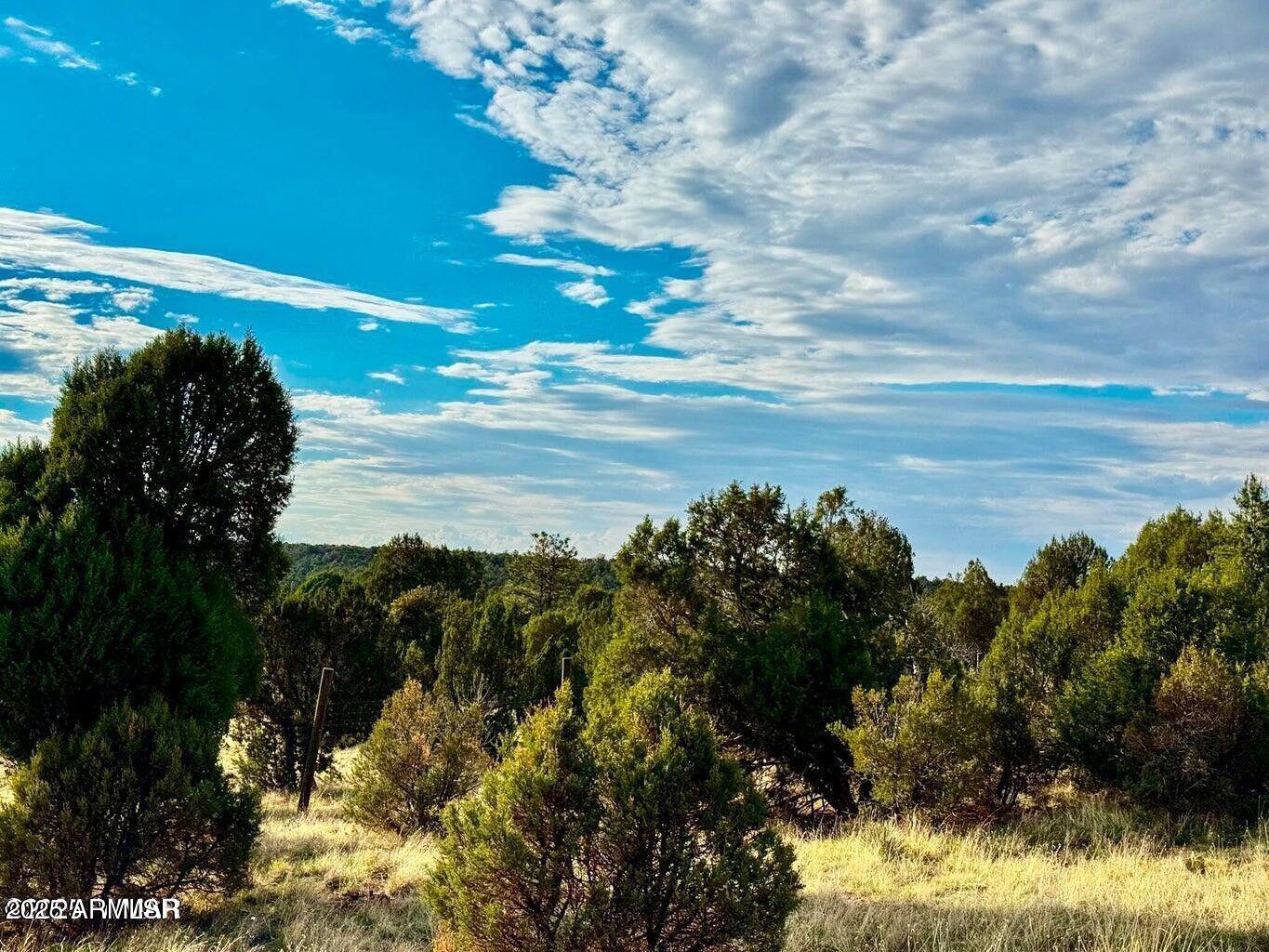 2.54 Acres Aripine Az 85933 Overgaard, AZ 85933 - Photo 7 of 29