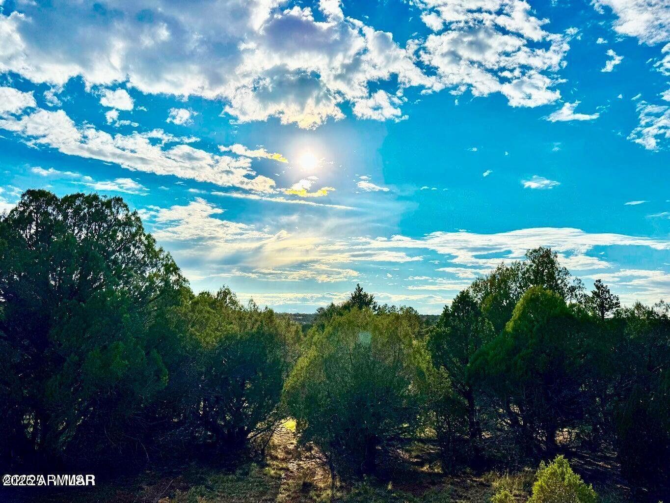 2.54 Acres Aripine Az 85933 Overgaard, AZ 85933 - Photo 8 of 29 a view of a of a yard