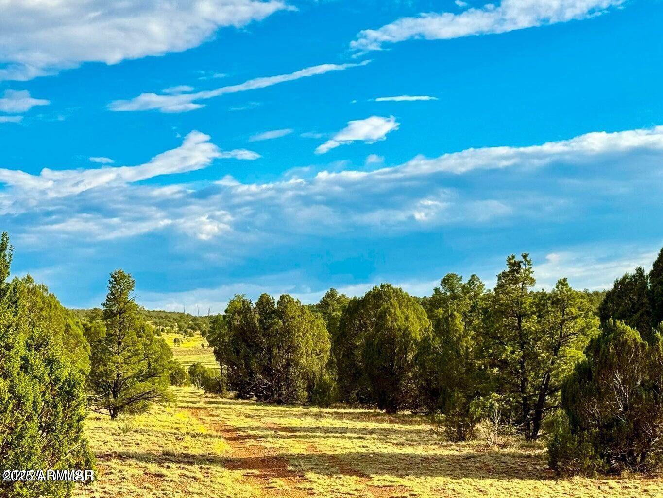 2.54 Acres Aripine Az 85933 Overgaard, AZ 85933 - Photo 9 of 29 a view of a lake view