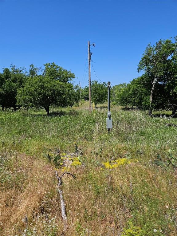 404 Highway 6 Cisco, TX 76437 - Photo 2 of 8 a view of a green field with lots of trees in the background