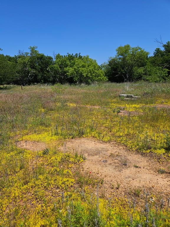 404 Highway 6 Cisco, TX 76437 - Photo 3 of 8 a view of an ocean view