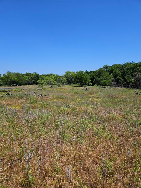 404 Highway 6 Cisco, TX 76437 - Photo 4 of 8 a view of an outdoor space and a yard