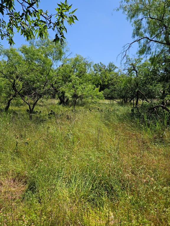 404 Highway 6 Cisco, TX 76437 - Photo 5 of 8