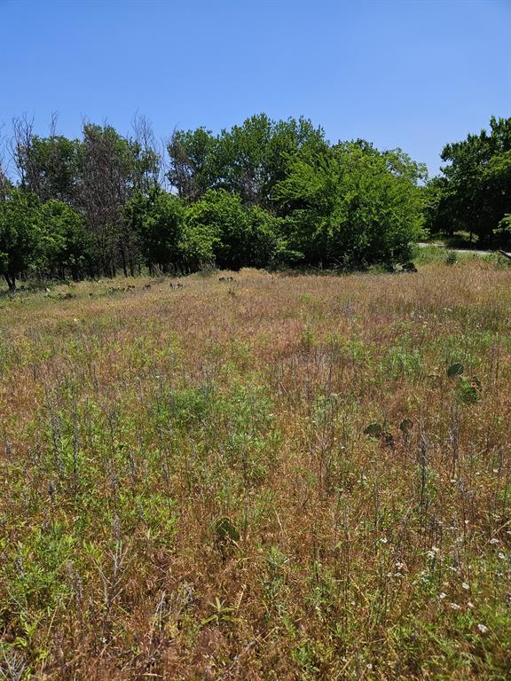 404 Highway 6 Cisco, TX 76437 - Photo 7 of 8 a view of a field with plants and trees in the background