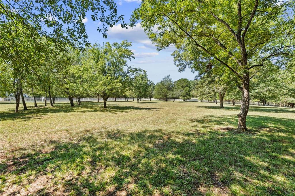 240 Deerfield Road Bogart, GA 30622 - Photo 73 of 80 a view of outdoor space with deck and trees