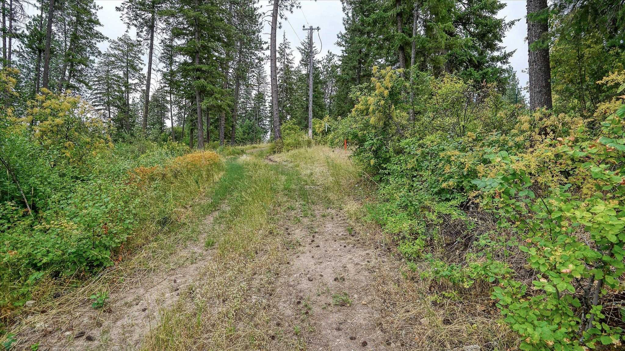 Tbd North Day Mt Spokane Road, Unit 0NORTHWOOD DR Mead, WA 99021 - Photo 12 of 33