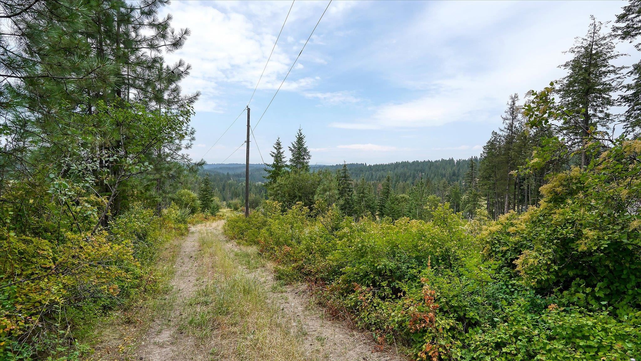 Tbd North Day Mt Spokane Road, Unit 0NORTHWOOD DR Mead, WA 99021 - Photo 13 of 33