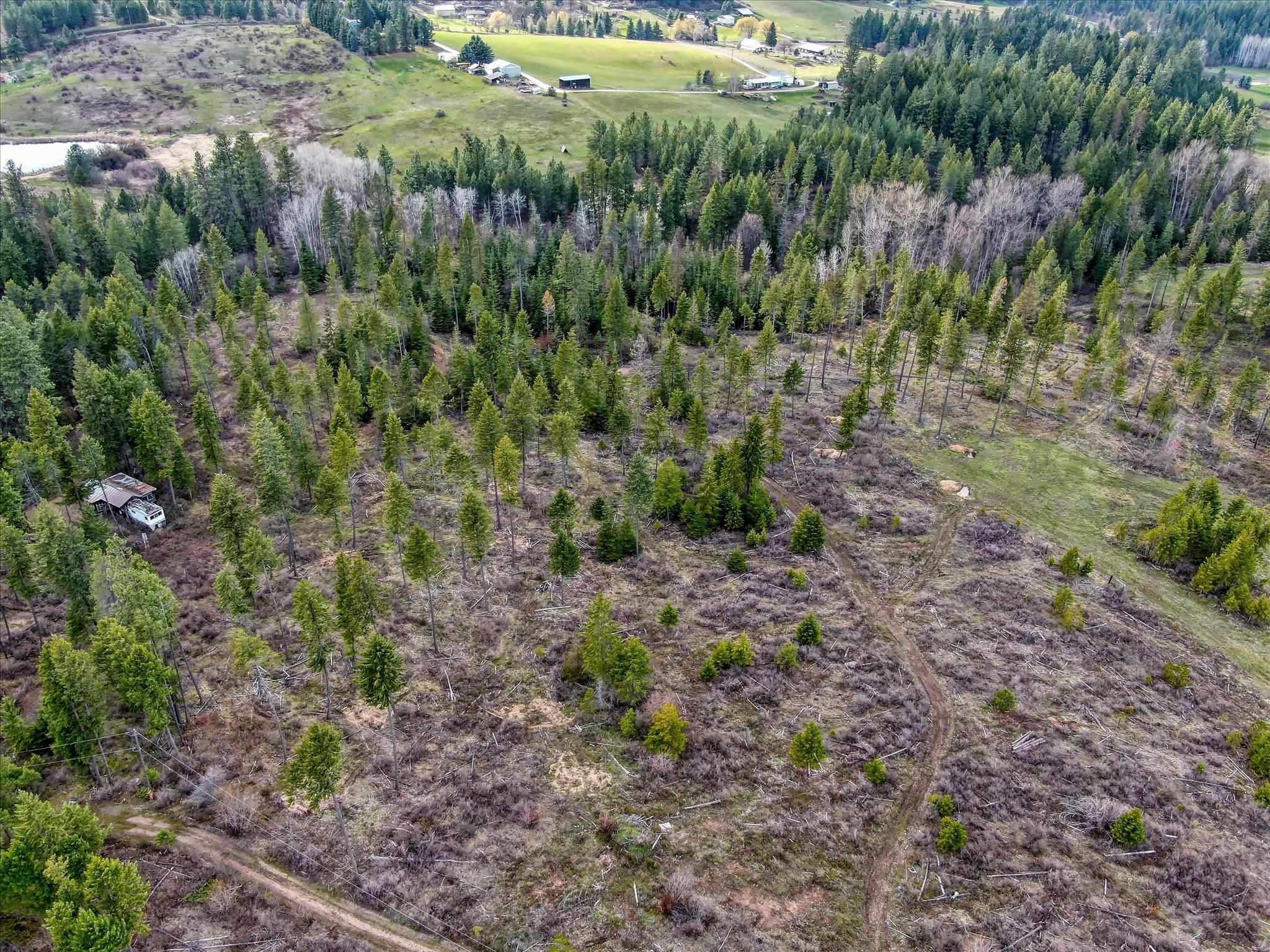 Tbd North Day Mt Spokane Road, Unit 0NORTHWOOD DR Mead, WA 99021 - Photo 19 of 33