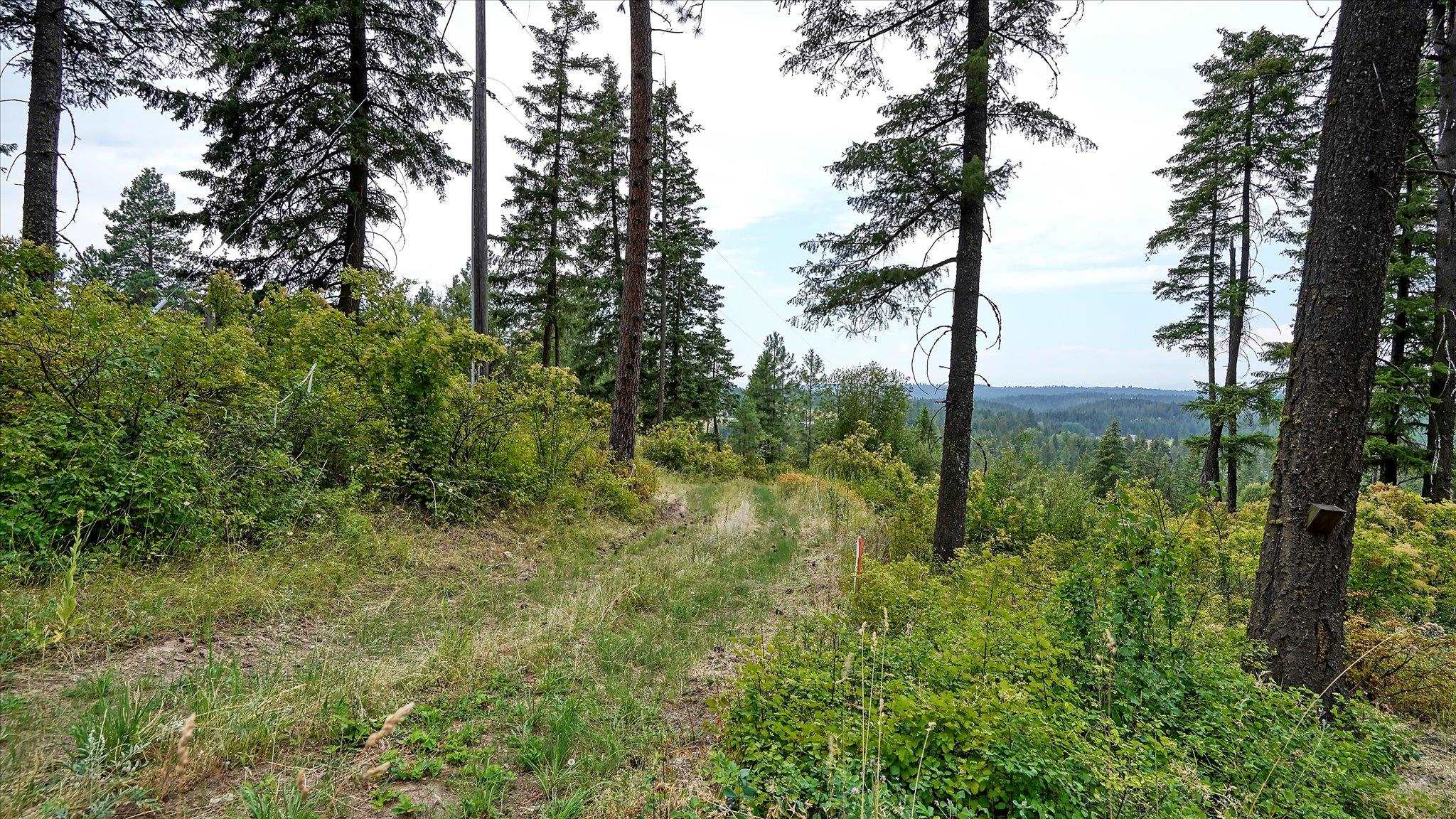 Tbd North Day Mt Spokane Road, Unit 0NORTHWOOD DR Mead, WA 99021 - Photo 2 of 33
