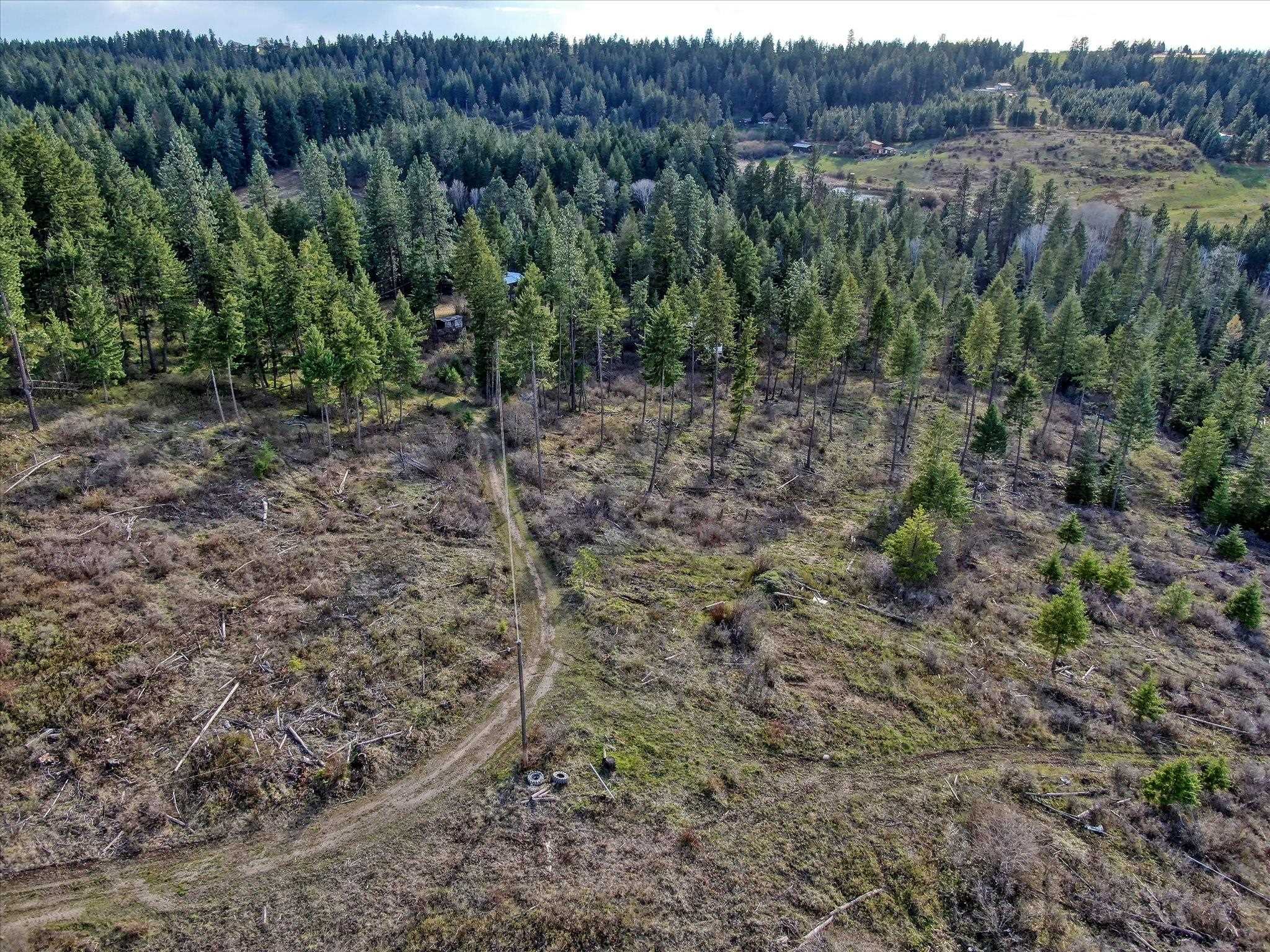 Tbd North Day Mt Spokane Road, Unit 0NORTHWOOD DR Mead, WA 99021 - Photo 28 of 33