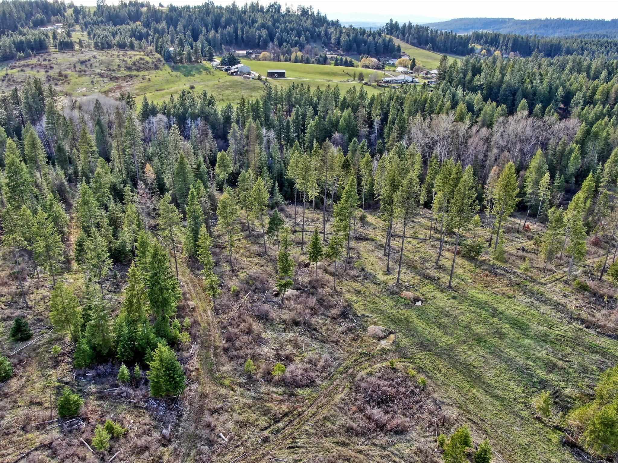 Tbd North Day Mt Spokane Road, Unit 0NORTHWOOD DR Mead, WA 99021 - Photo 30 of 33
