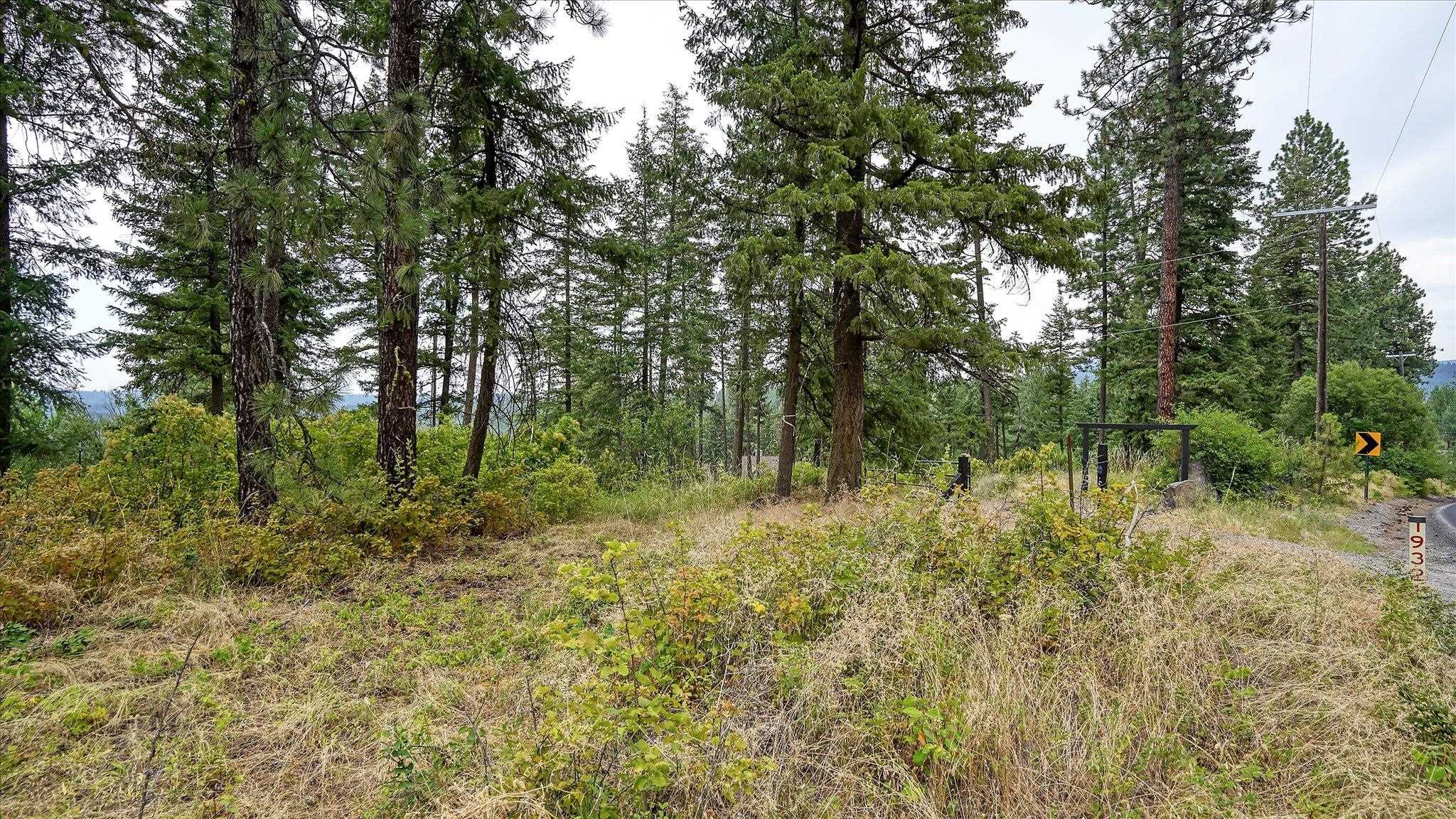 Tbd North Day Mt Spokane Road, Unit 0NORTHWOOD DR Mead, WA 99021 - Photo 3 of 33