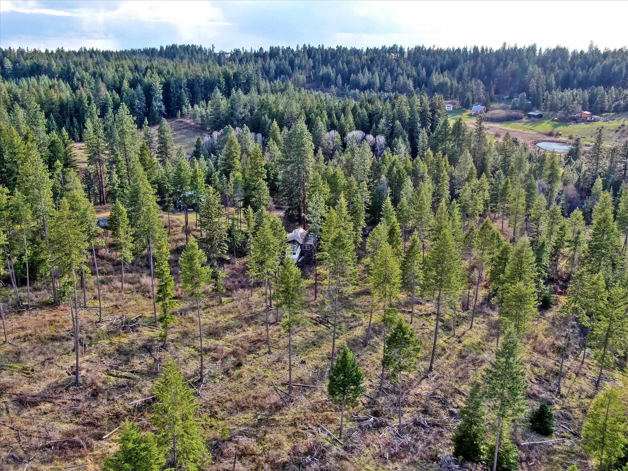 Tbd North Day Mt Spokane Road, Unit 0NORTHWOOD DR Mead, WA 99021 - Photo 32 of 33