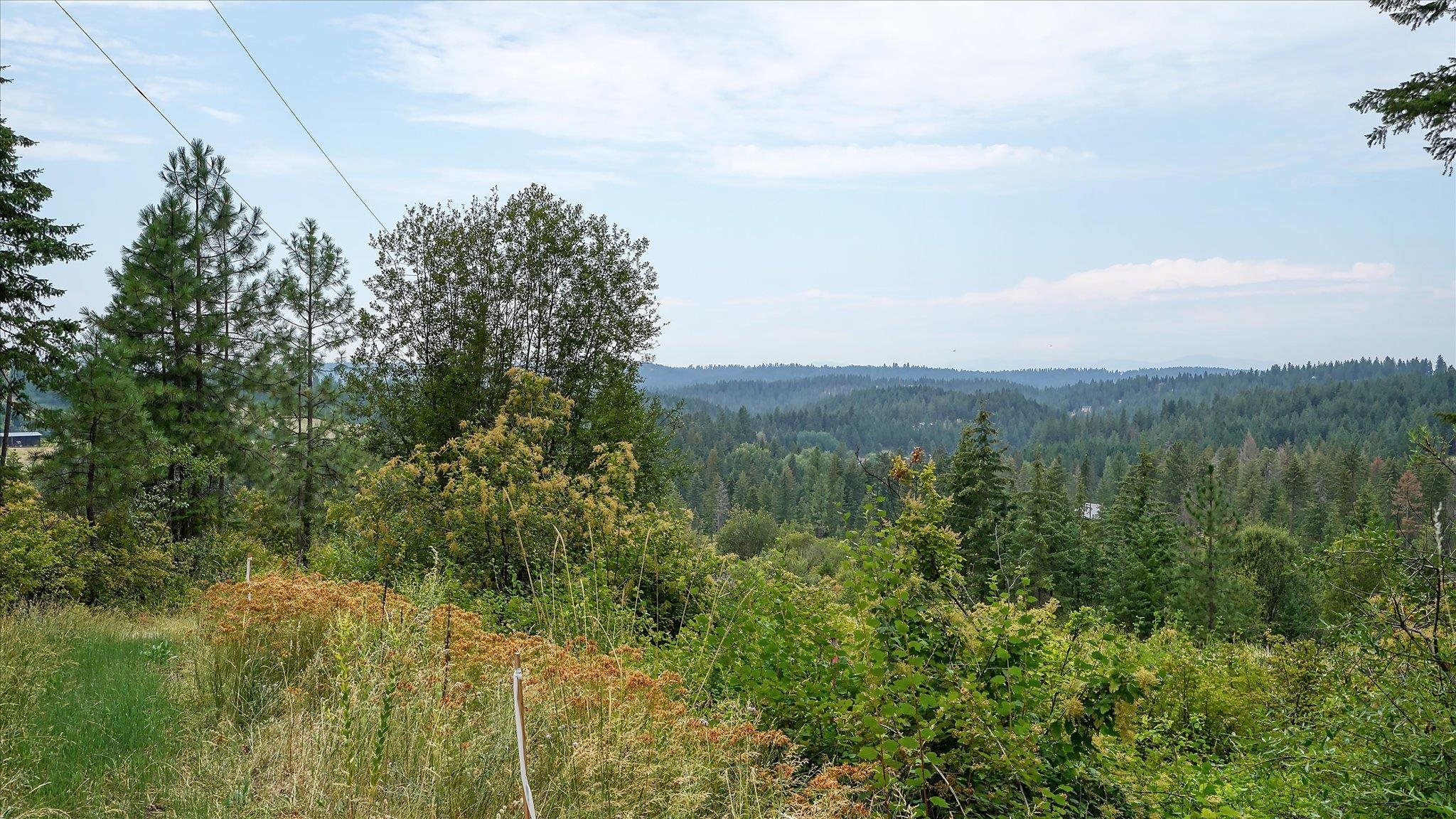 Tbd North Day Mt Spokane Road, Unit 0NORTHWOOD DR Mead, WA 99021 - Photo 5 of 33