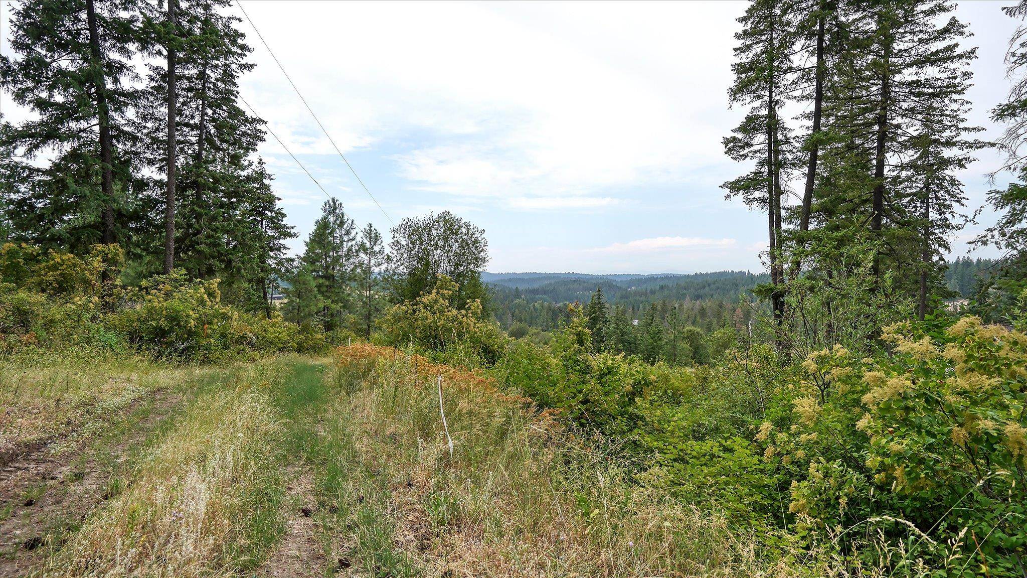 Tbd North Day Mt Spokane Road, Unit 0NORTHWOOD DR Mead, WA 99021 - Photo 6 of 33
