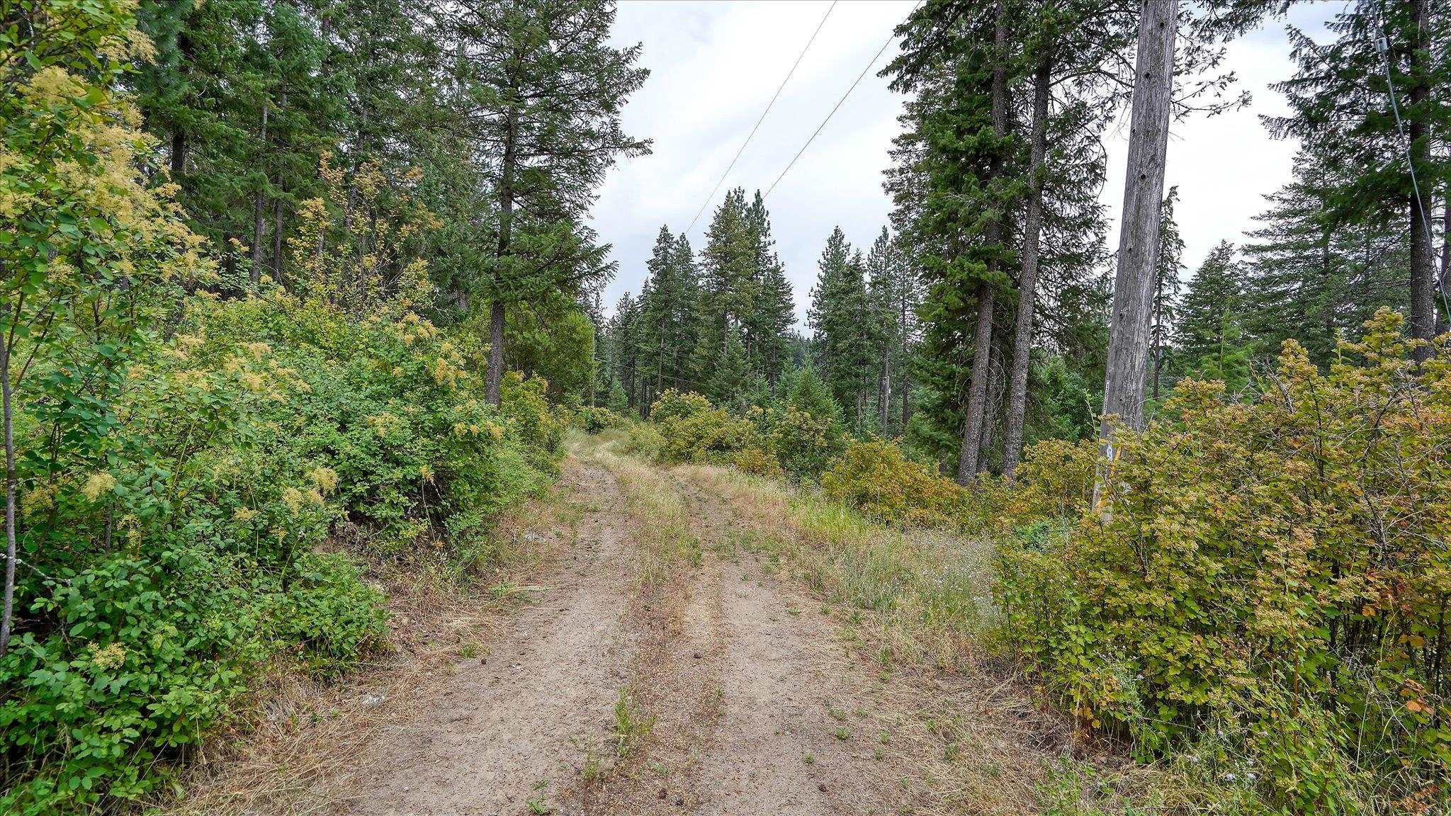 Tbd North Day Mt Spokane Road, Unit 0NORTHWOOD DR Mead, WA 99021 - Photo 10 of 33
