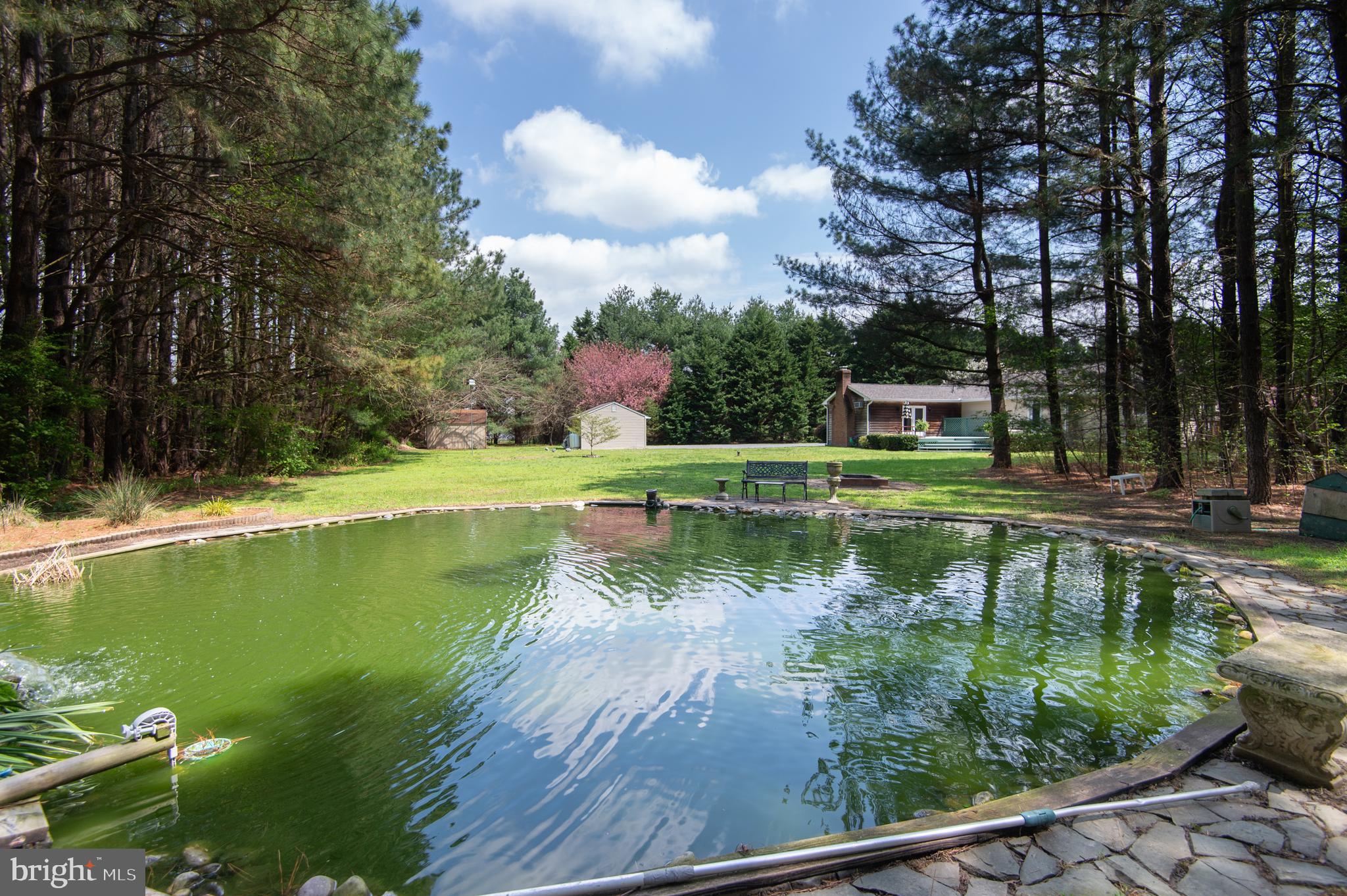 8452 Harmony Road Denton, MD 21629 - Photo 3 of 39