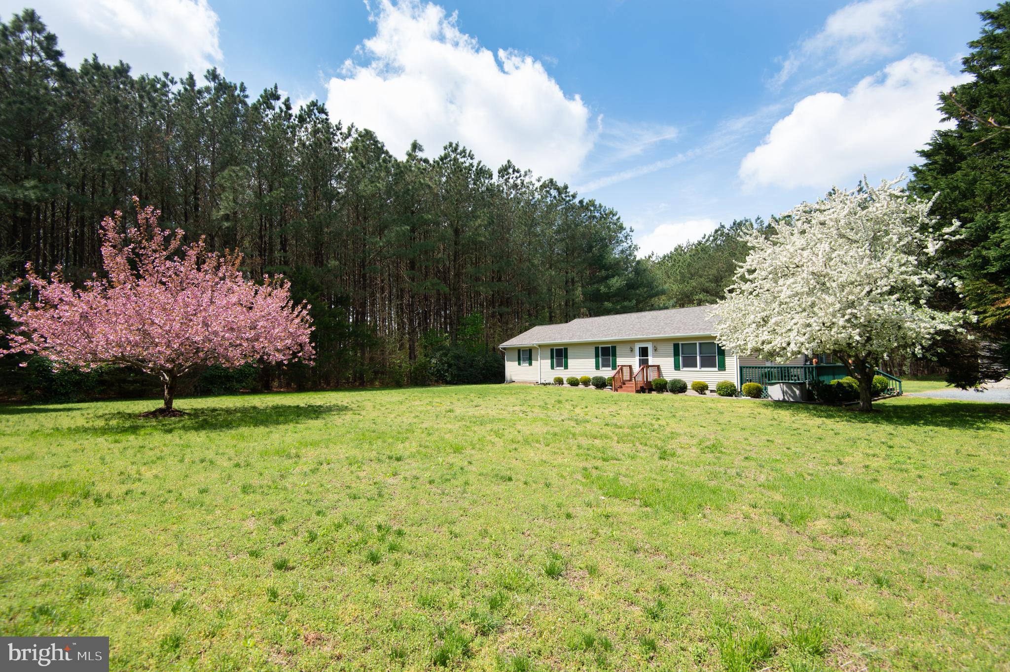 8452 Harmony Road Denton, MD 21629 - Photo 25 of 39