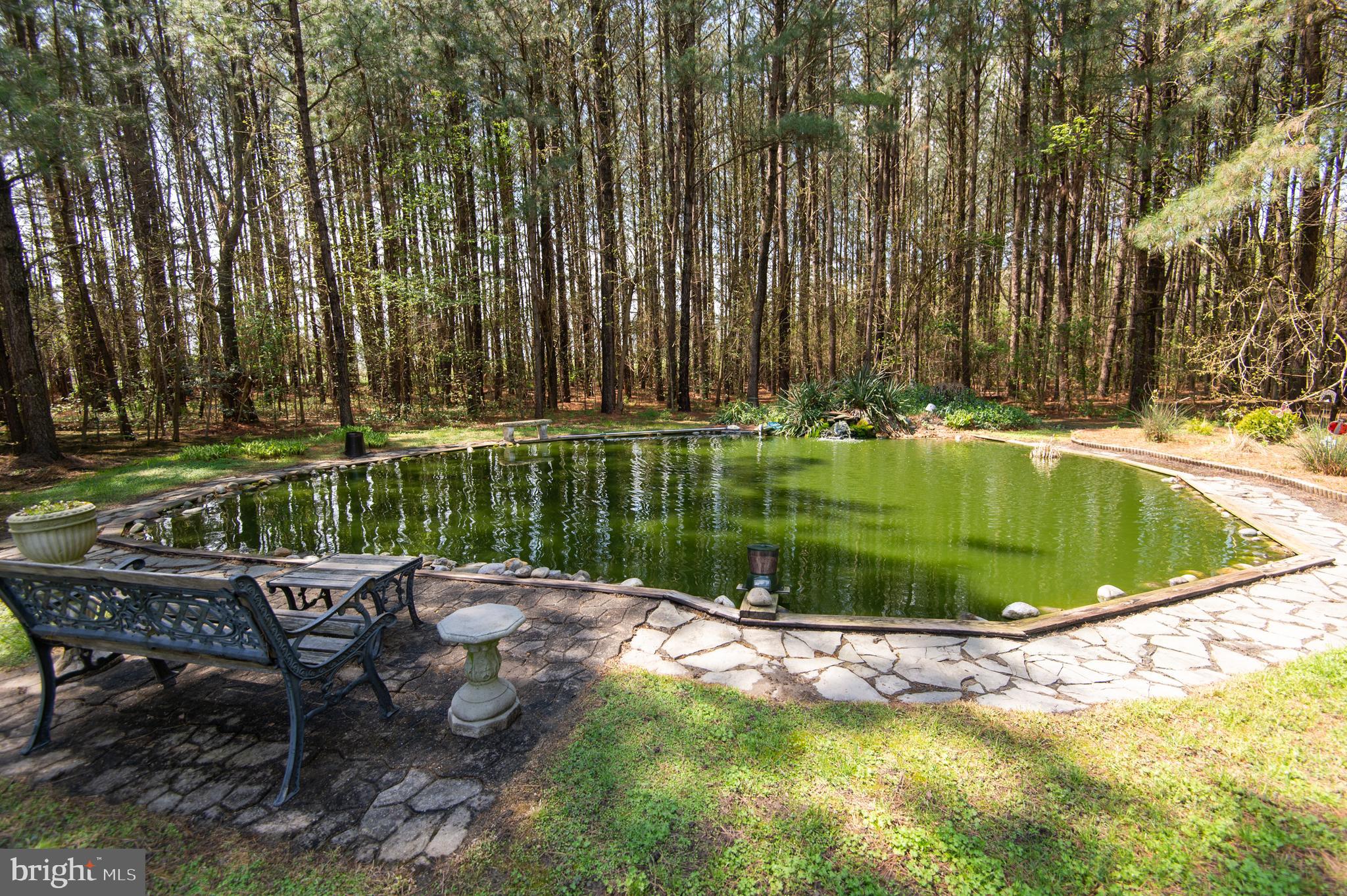 8452 Harmony Road Denton, MD 21629 - Photo 32 of 39