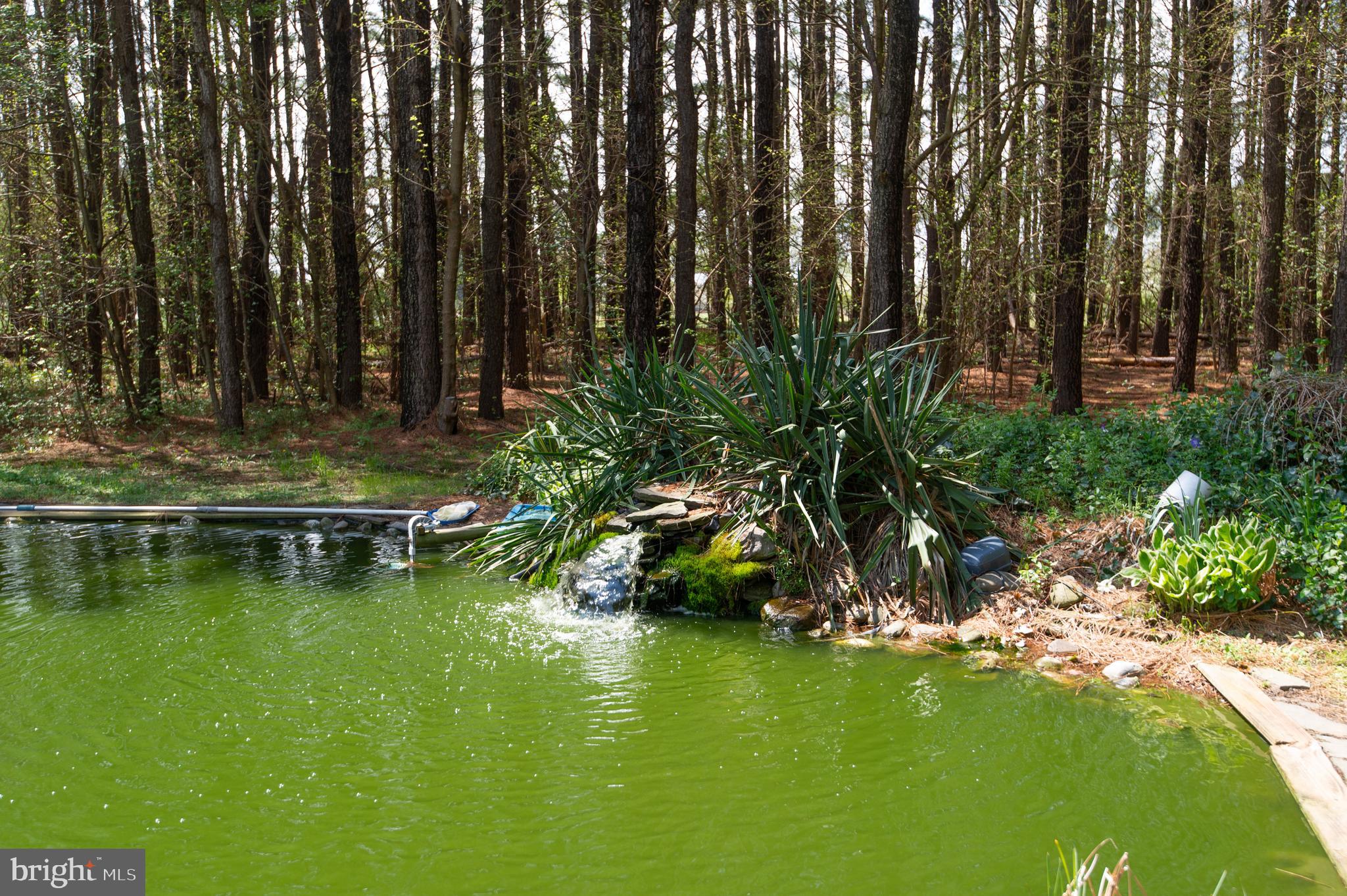 8452 Harmony Road Denton, MD 21629 - Photo 33 of 39