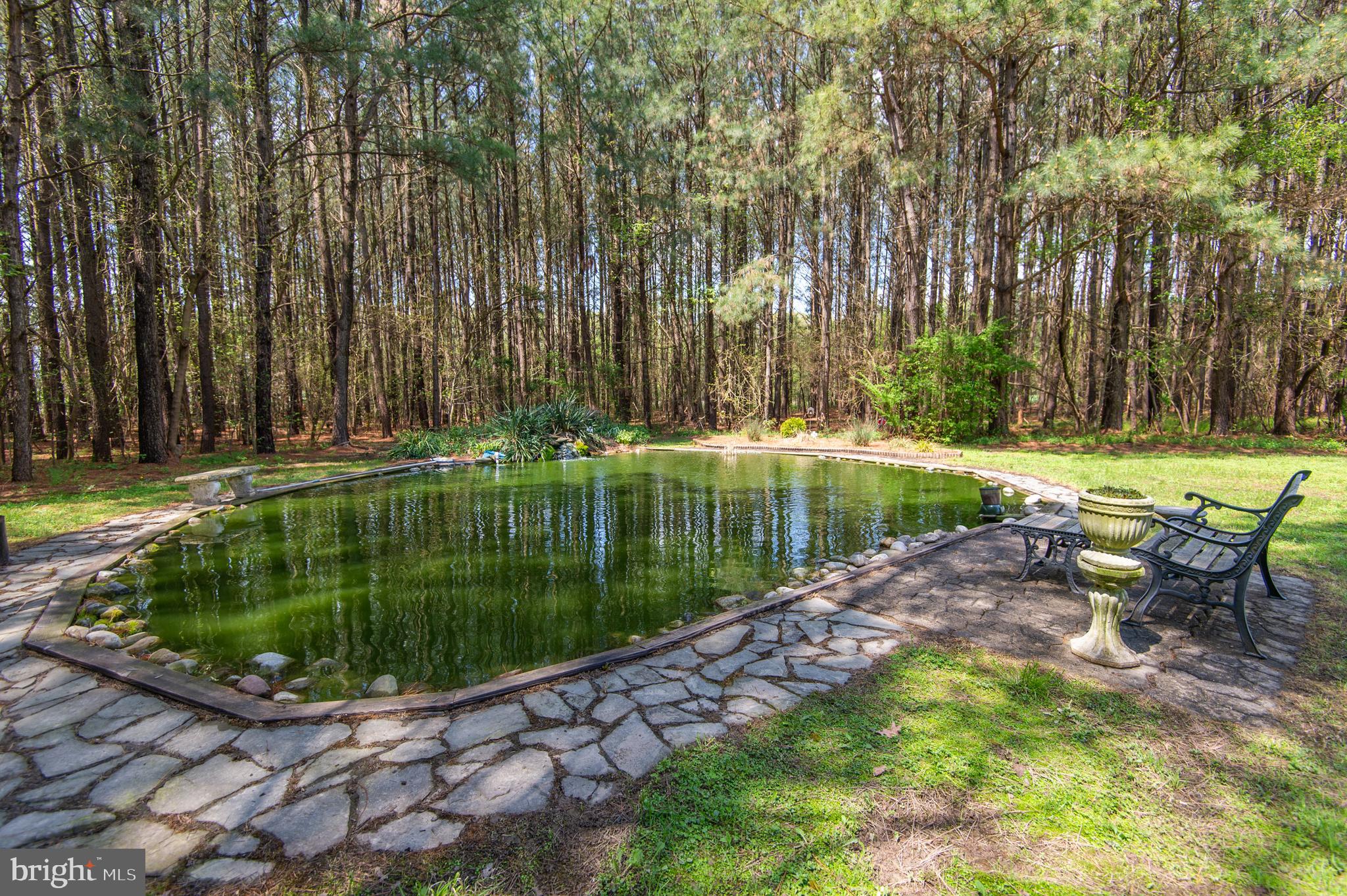 8452 Harmony Road Denton, MD 21629 - Photo 34 of 39