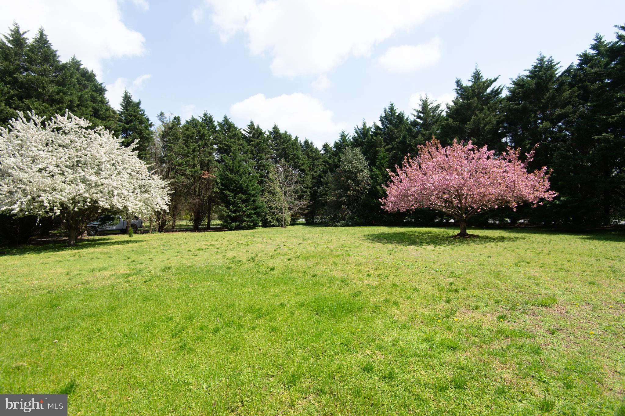 8452 Harmony Road Denton, MD 21629 - Photo 38 of 39