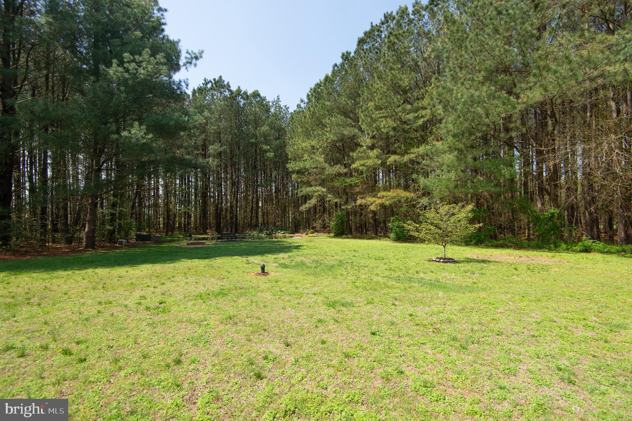 8452 Harmony Road Denton, MD 21629 - Photo 39 of 39