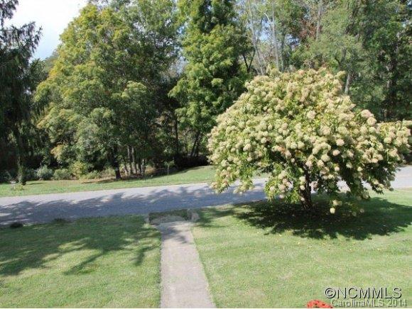 1435 Max Thompson Road Canton, NC 28716 - Photo 19 of 23
