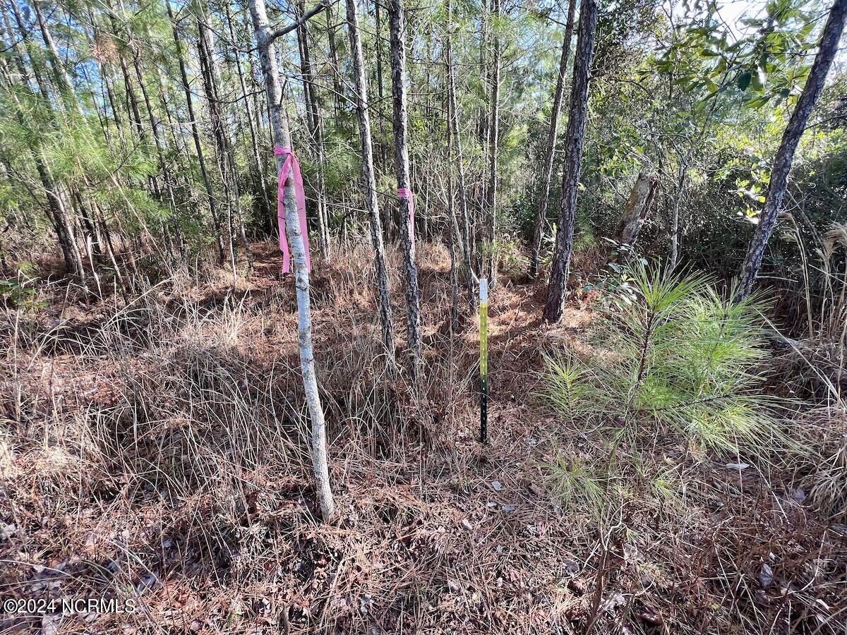 280 Arant Farm Road Merritt, NC 28556 - Photo 12 of 27 11