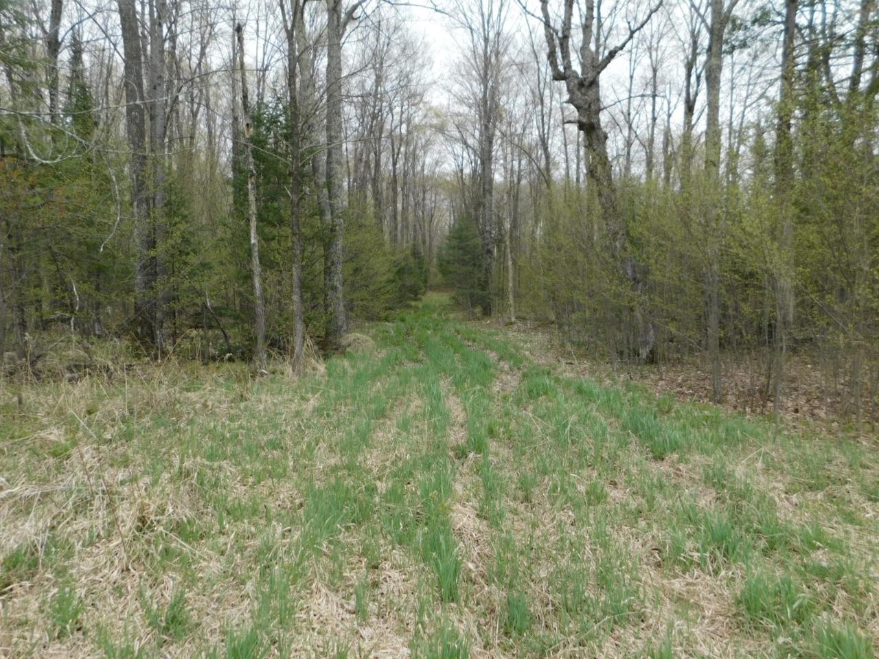19201 Johnson Road Ogema, WI 54459 - Photo 1 of 10 Gallery Image 1