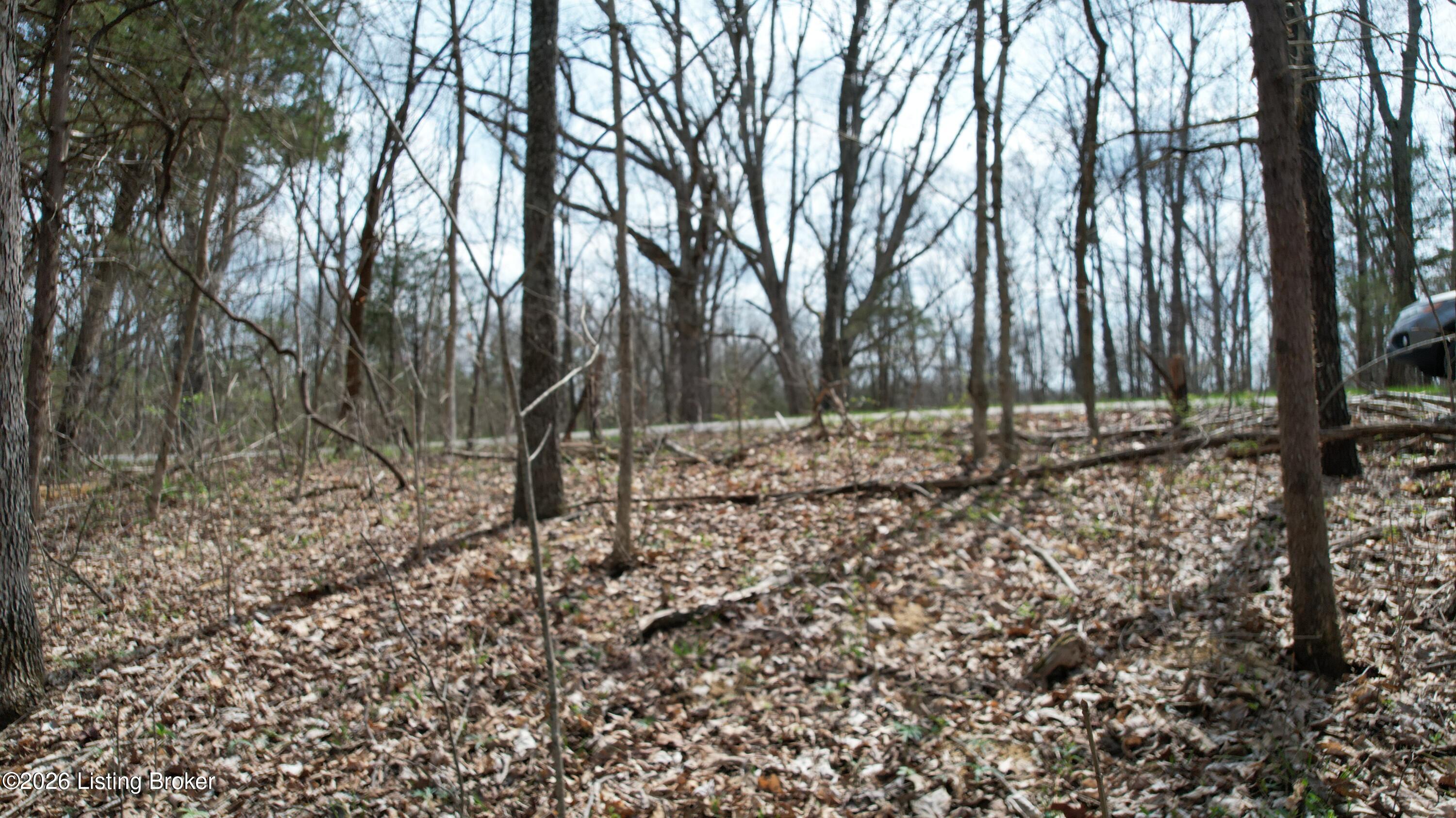 0 Fox Trail Road Corinth, KY 41010 - Photo 17 of 34 DJI_0055