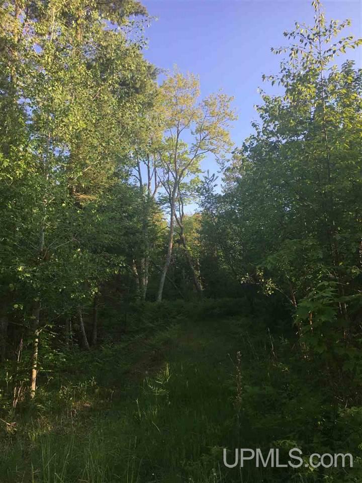 Tbd North Tbd N Point Road, Unit LOT F Naubinway, MI 49762 - Photo 1 of 1
